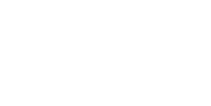 Professional System Logo Weiß