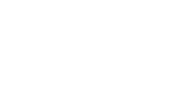 Logo Professional System